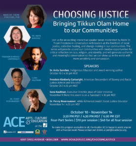 Flyer for Choosing Justice webinar