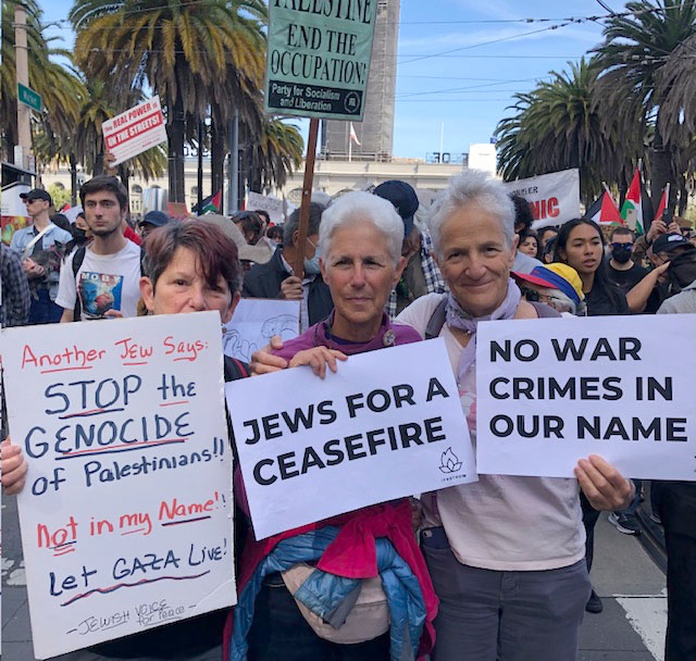 Photo showing Penny Rosenwasser and others in protest march Oct 2023
